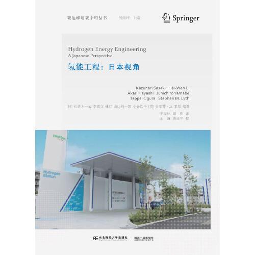 【官方正版】 氢能工程：日本视角 9787565443220 无 东北财经大学出版社