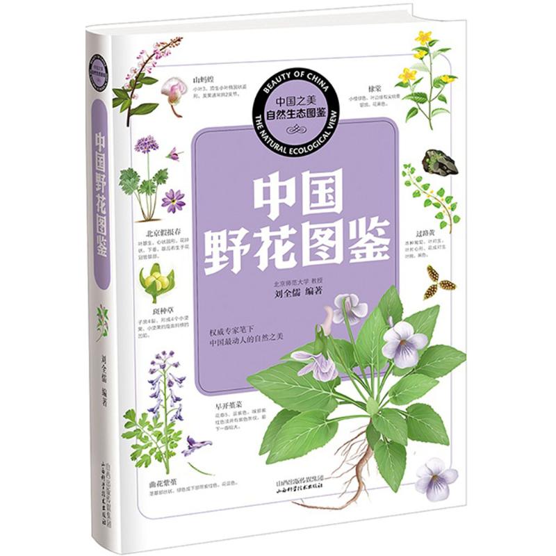 【官方正版】 中国野花图鉴 刘全儒编著 山西科学技术出版社 9787537743570