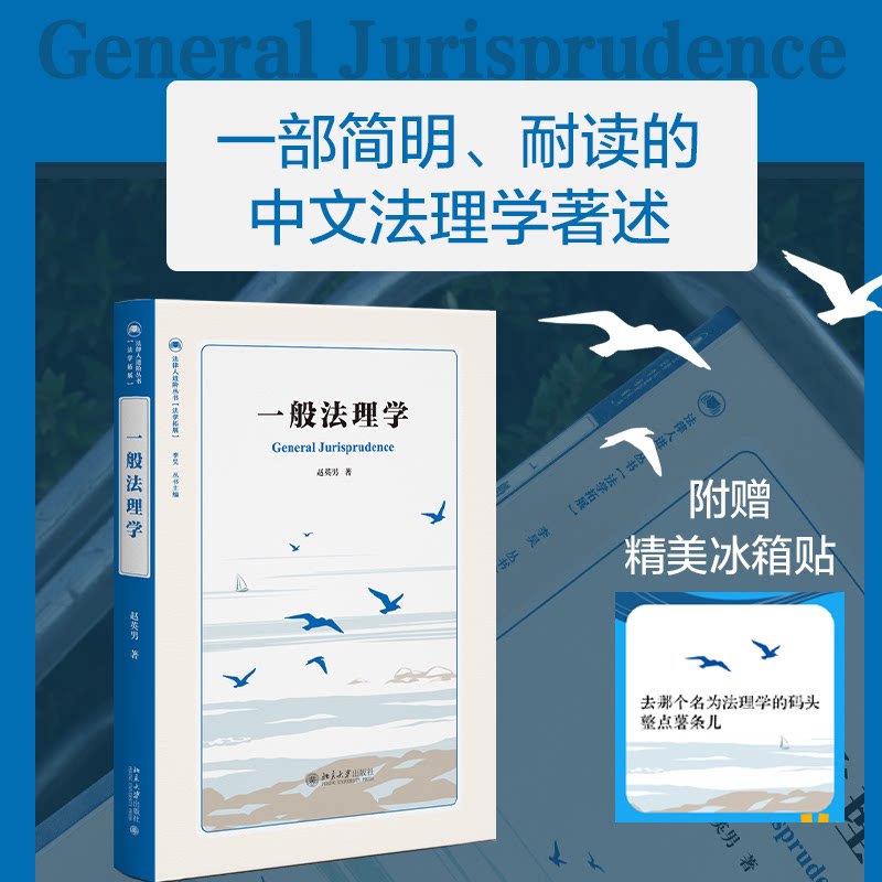 【官方正版】 一般法理学 赵英男著 北京大学出版社 9787301369968