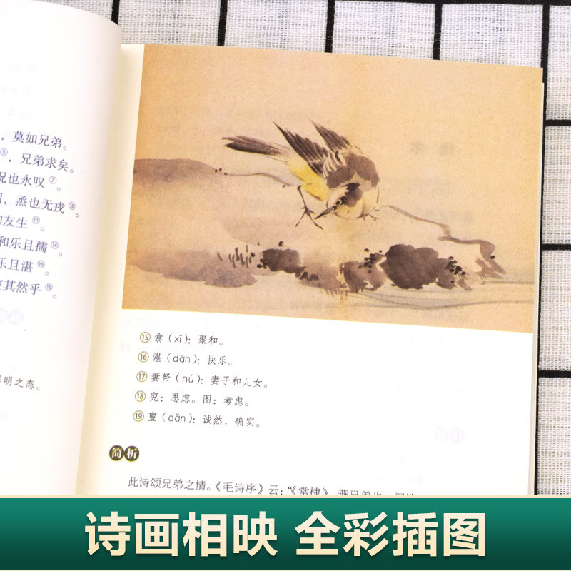 【官方正版】 全3册诗经-风雅颂 中国古诗词歌赋诗经楚辞典大全集 国学经典传统文化青少年课外阅读中国古典文学古诗词