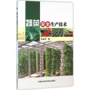 【官方正版】 蔬菜安全生产技术 赵美华著 中国农业科学技术出版社 9787511624970