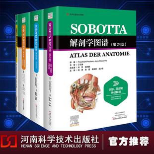 9787572506529 主编Friedrich 河南科学技术出版 官方正版 社 Waschke Sobotta解剖学图谱 Jens Paulsen