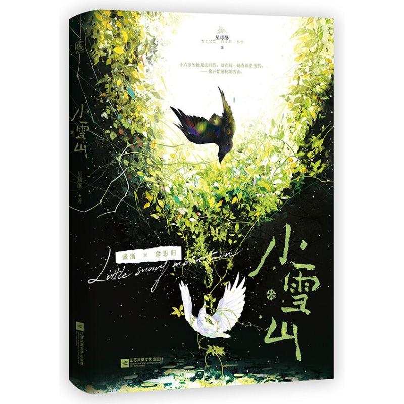 【官方正版】 小雪山 星球酥著 江苏凤凰文艺出版社 9787580807113