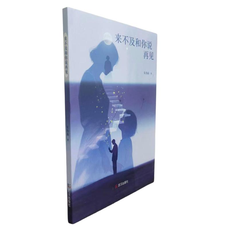 【官方正版】 来不及和你说再见 朱海森著 武汉出版社 9787558282485
