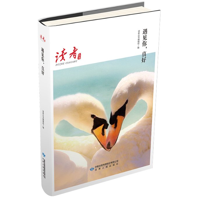 【官方正版】 遇见你,真好 9787226054253 罗振宇 甘肃人民出版社有限责任公司