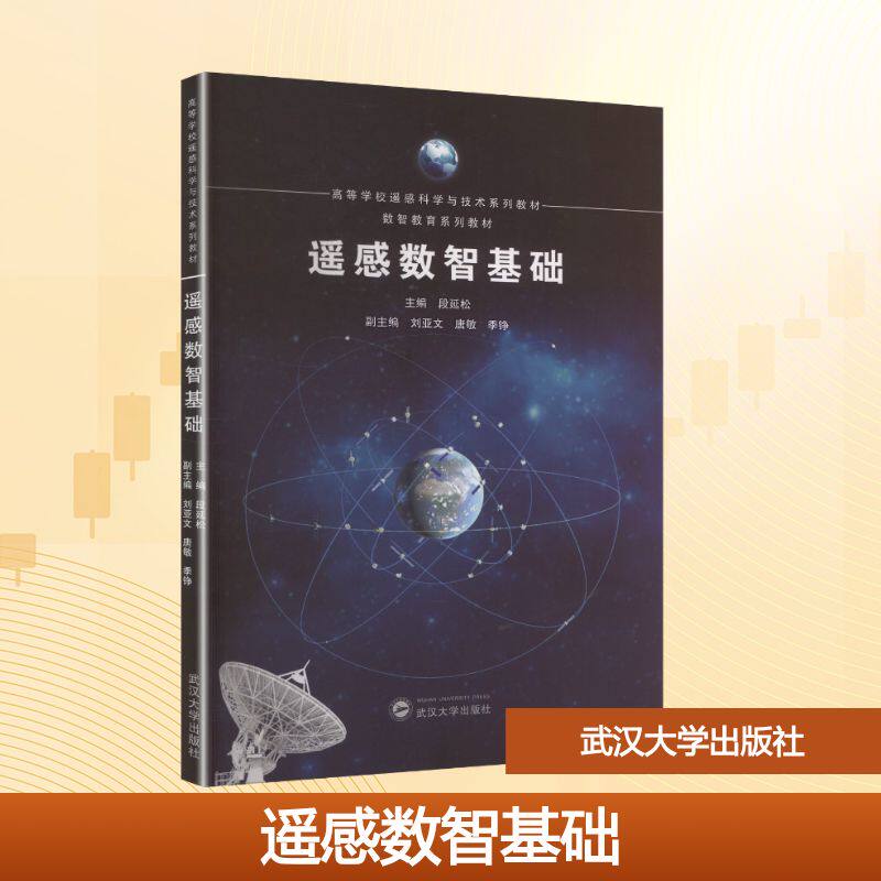 [正版新书]库房现货直发 遥感数智基础 9787307250024 主编段延松 武汉大学出版社 考试/教材/教辅/论文/教材/大学教材