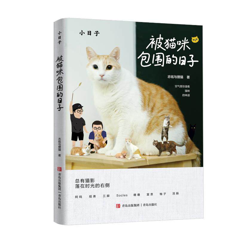 【官方正版】 被猫咪包围的日子 志铭与狸猫著 青岛出版社 9787573635402