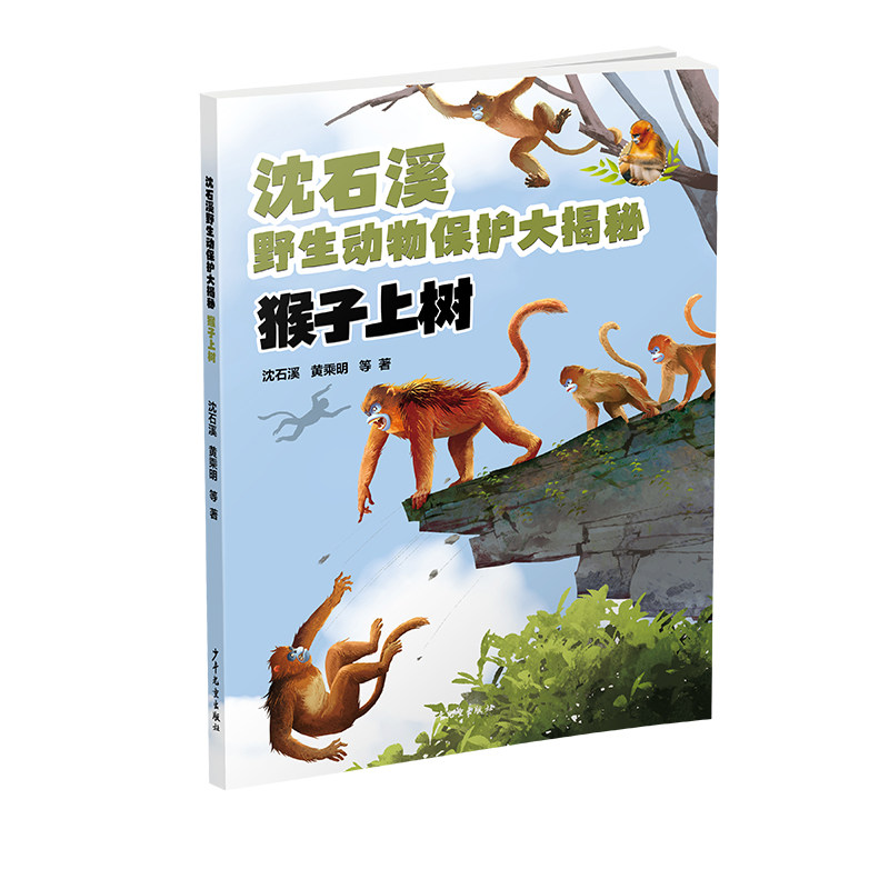 【官方正版】 猴子上树 沈石溪, 黄乘明等著 少年儿童出版社 9787558922183