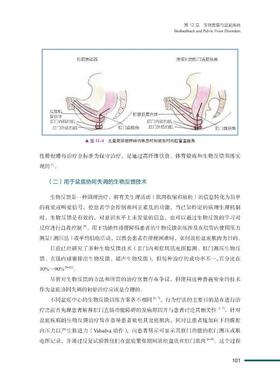 【官方正版】 盆底疾病手术入路 9787504692689 原著 (意) Achille Lucio Gaspari, Pierpaolo Sileri 中国科学技术出版社