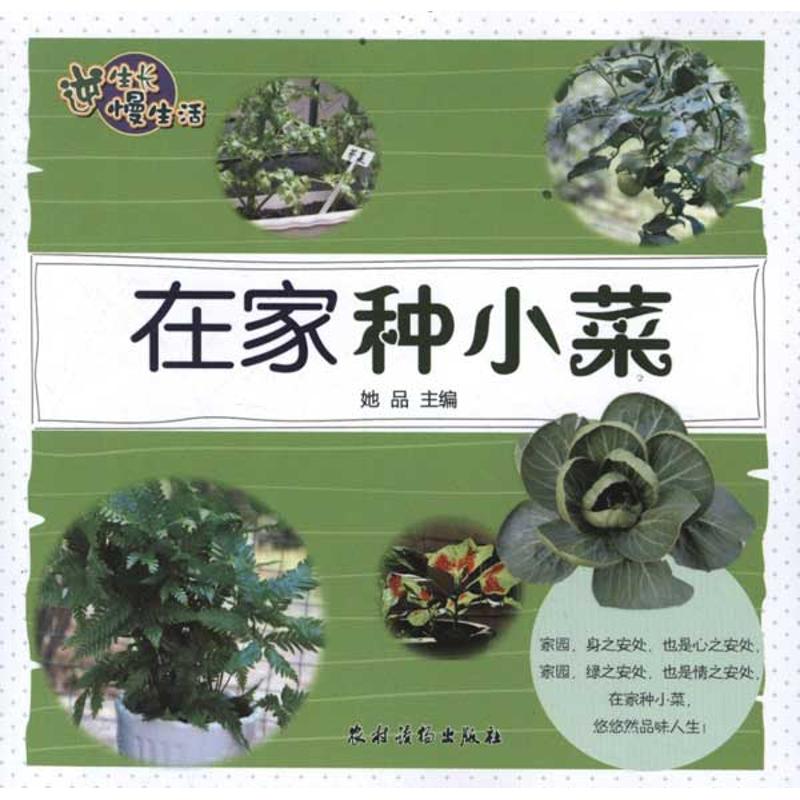 【官方正版】 在家种小菜(逆生长慢生活) 9787504855367 她品 农村读物出版社