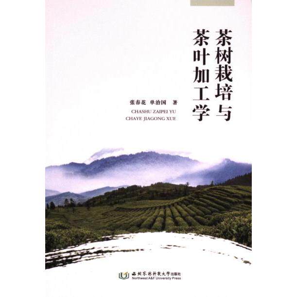 【官方正版】 茶树栽培与茶叶加工学 9787568312196 张春花, 单治国著 西北农林科技大学出版社
