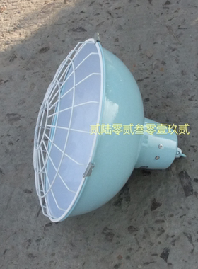 792003-792004船舶专用仓库照明灯 CGD2 船用单泡货仓灯