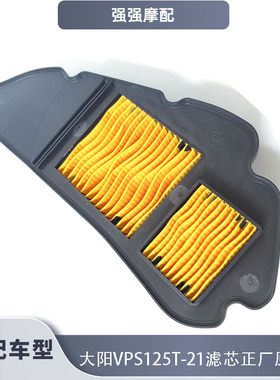 适用大阳摩托车VSP125T-21滤芯滤清器原装正品空气滤芯双滤网