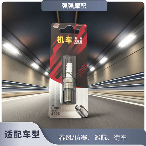 赛科龙仿赛RC600巡航RA600复古RE600休旅RX1S/RX600铱金火花塞