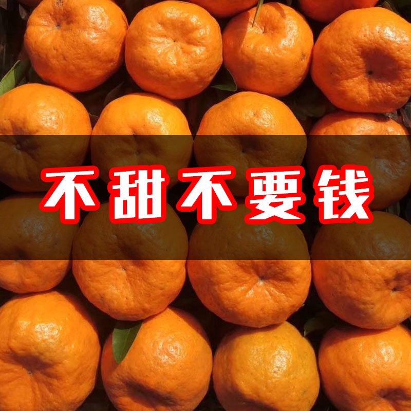 四川甜一天立减10元桔子