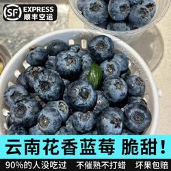 正宗2025花香蓝莓抚仙湖云南蓝莓鲜果脆纯甜新鲜水果当季孕妇桶装
