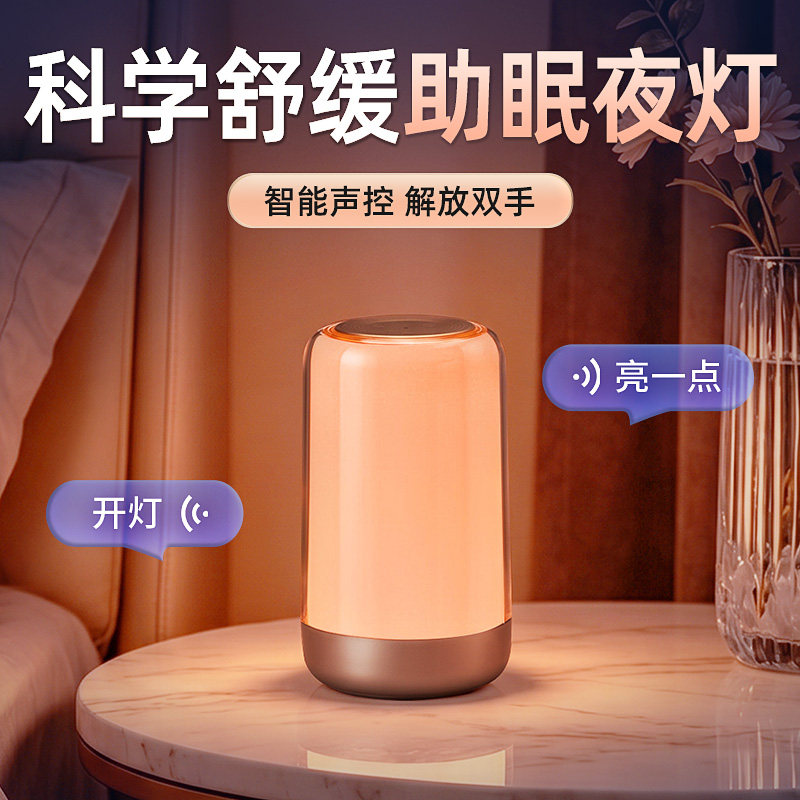 小夜灯床头睡眠卧室助眠夜间定时护眼可充电高级智能语音台灯新款