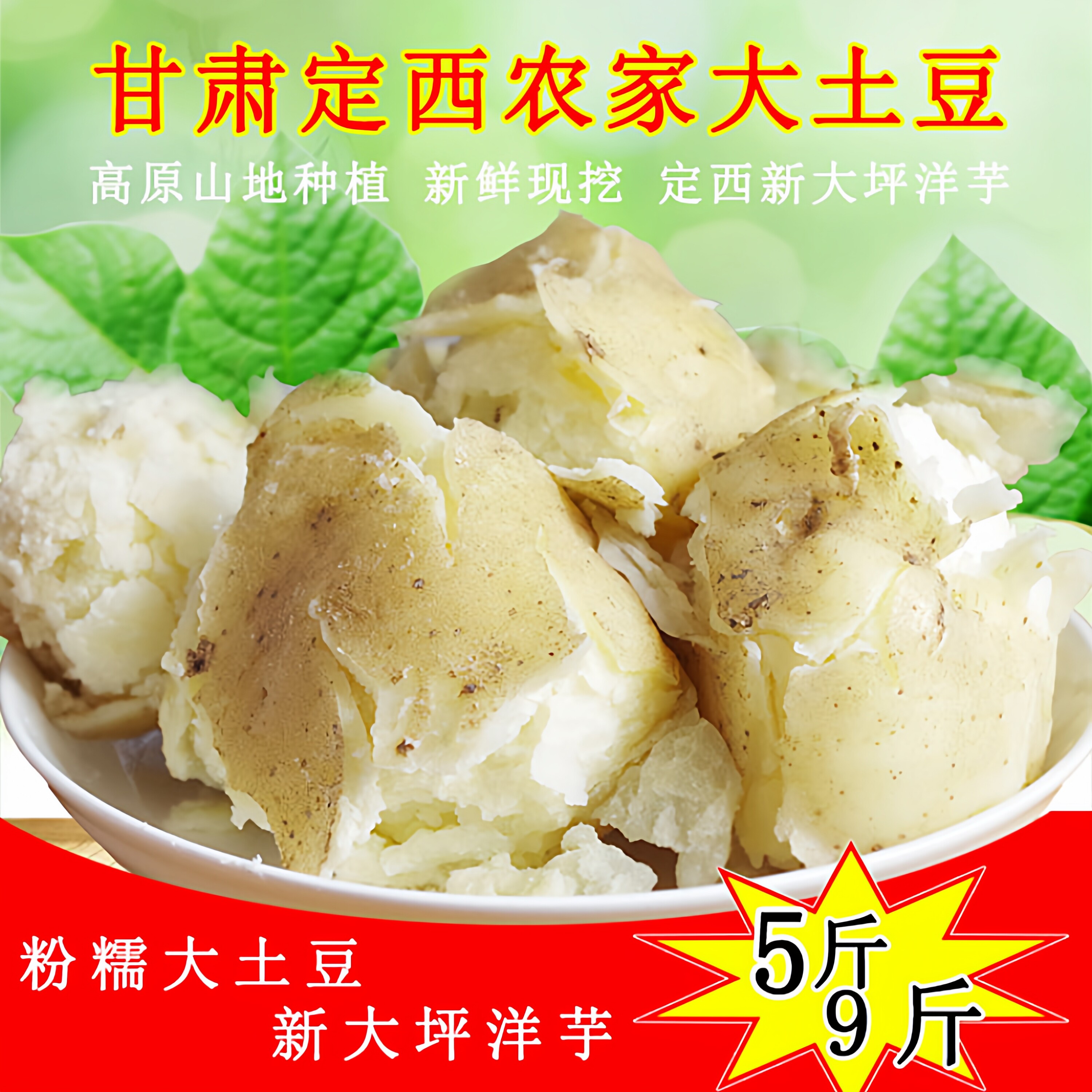 甘肃定西马铃薯农家粉土豆