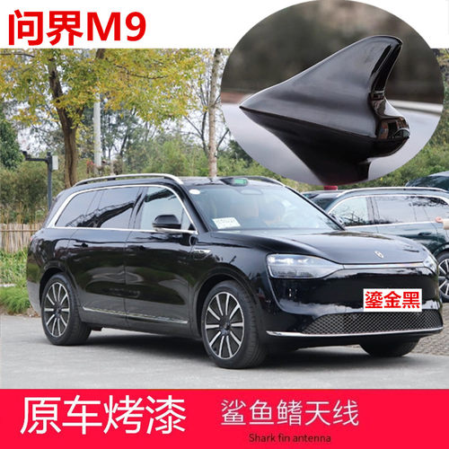 金炫个性天线烤漆顶翼鎏金黑