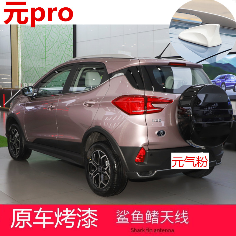 点缤信号顶翼鲨鱼鳍活力白
