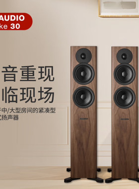 丹拿evoke3050发烧落地音箱