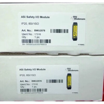 Bihl+Wiedemann BWU2578 BWU2546必威全新模拟量BWU2620  BWU3087