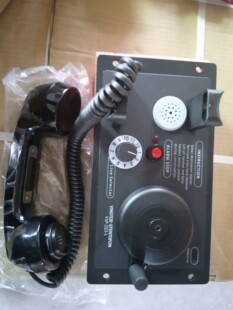 Zenitel Vingtor VSP-213 VSP-22全新原装拍前请询价