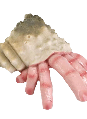 万圣节装饰拍照主题布景手持配件