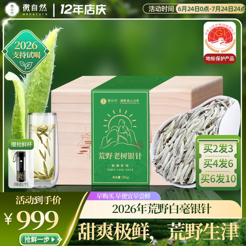 [精品]福鼎白茶特级荒野银针500g