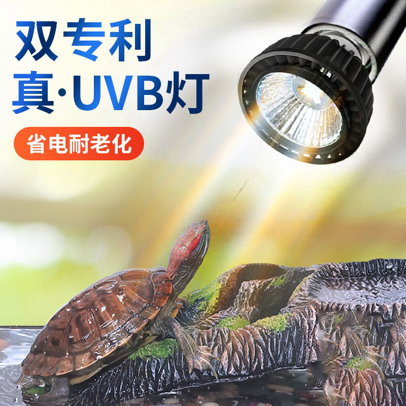 高UVBUVB不频闪全光谱晒背灯补钙