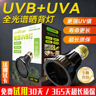 乌龟晒背灯全光谱太阳灯uva uvb二合一龟缸爬宠专用补钙灯保温灯