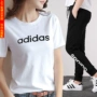 Adidas suit nữ 2019 hè mới diện đồ thể thao rộng tay ngắn tay áo thun thoáng khí quần tây - Thể thao sau quần áo thể thao nam mùa đông