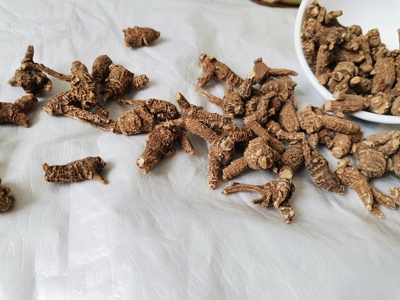 10年美国威斯康辛州花旗参野生老原尾泡参西洋参整枝