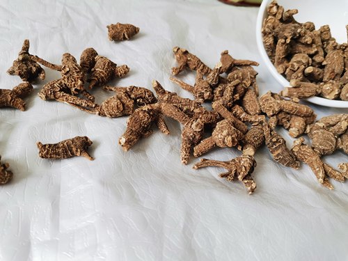 10年美国威斯康辛州花旗参野生老原尾泡参西洋参整枝