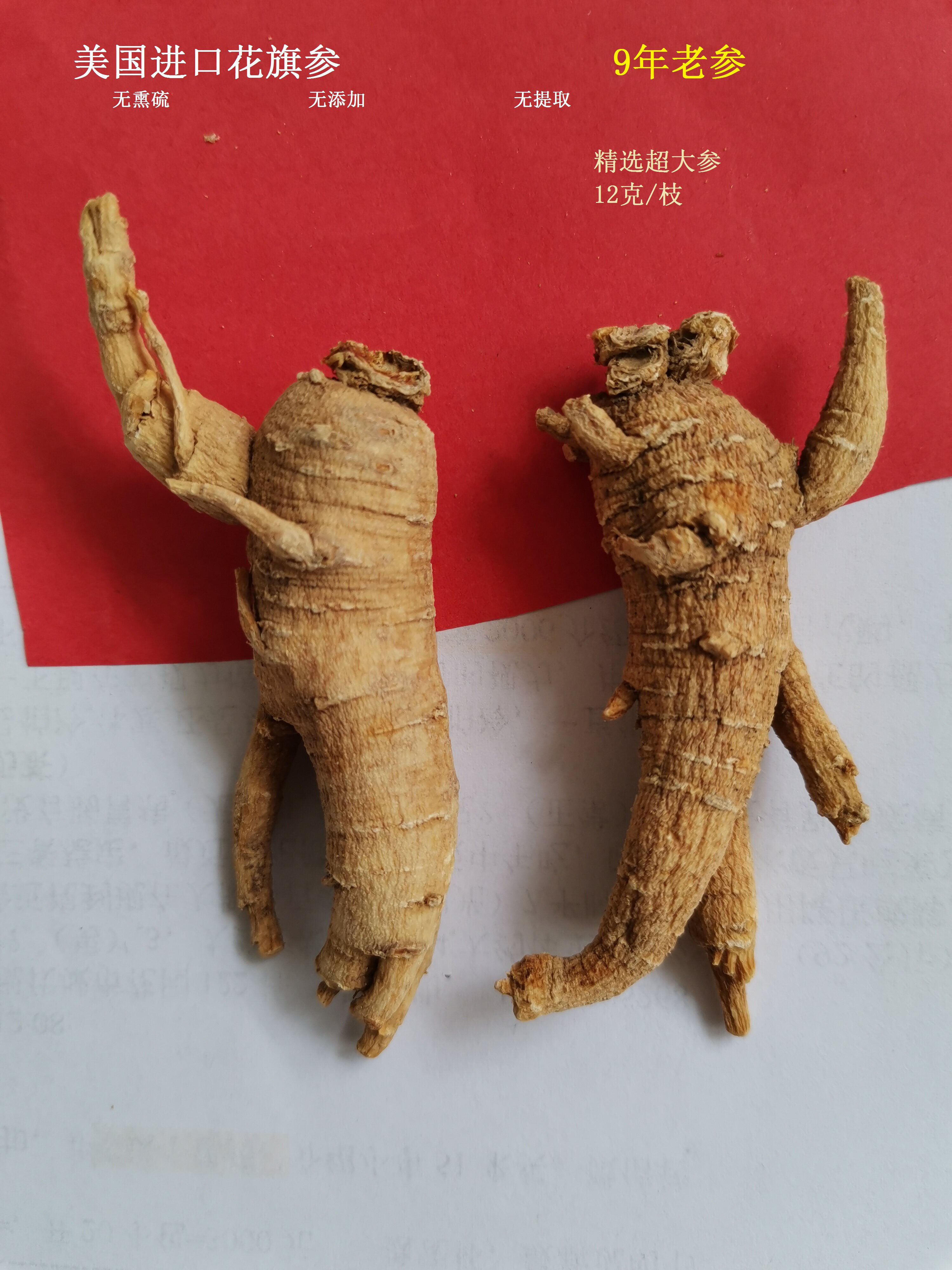 美国威州花旗参整枝可切片12克/支,,限时送参粉