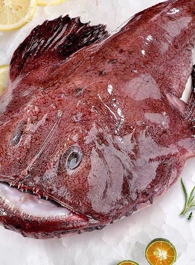 冷冻海鲜安康鱼蛤蟆鱼老鬼鱼琵琶鱼大嘴鱼深海鮟鱇约4斤多一条