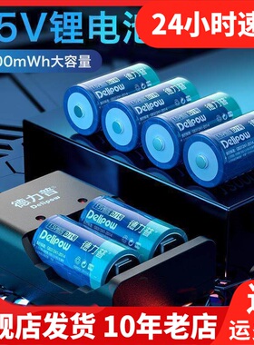 Delipow德力普锂电池手电筒强光容量进口充电器电池XB20220618001