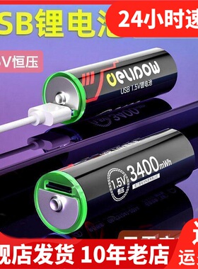 Delipow德力普锂电池手电筒强光容量进口充电器电池dlp1.5V USB款