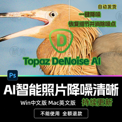 PS插件降噪Topaz DeNoise AI 人工智能图片一键降噪除噪恢复细节