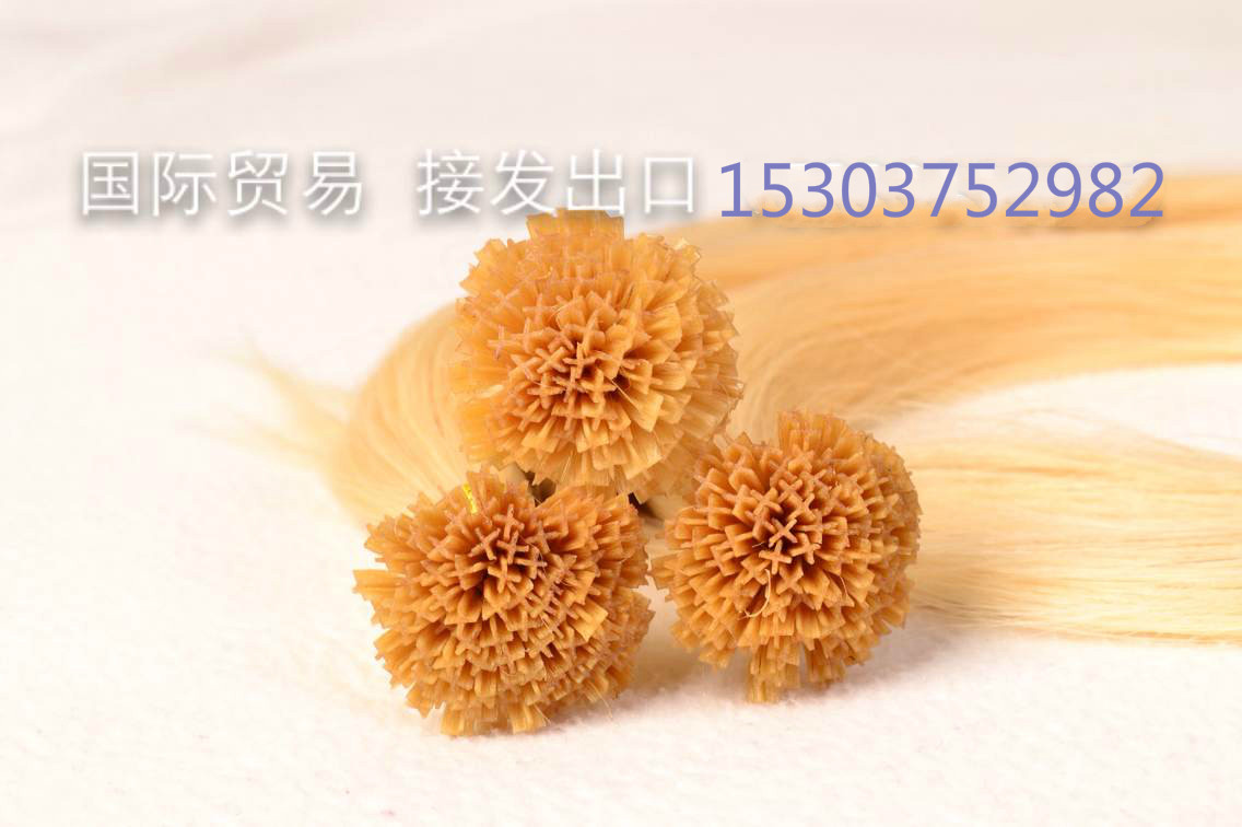 Extension cheveux - Ref 219331 Image 4