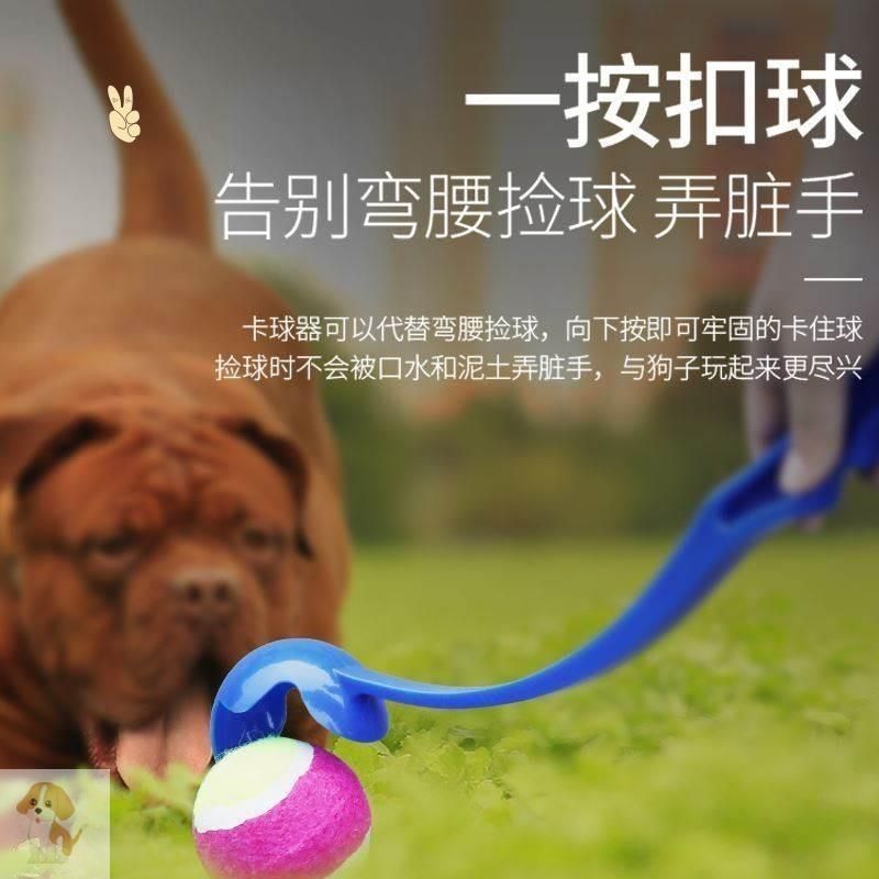 宠物抛球杆扔球器甩球棒狗狗户外抛掷玩具中小型犬训练磨牙耐咬球