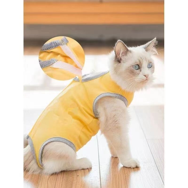 猫咪绝育服母猫手术服术后服伊丽莎白圈透气防舔断奶衣服手术衣