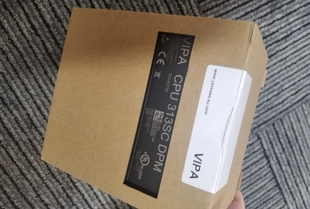 222 假一罚十VIPA VIPA 1BF00 1BF00全新 221