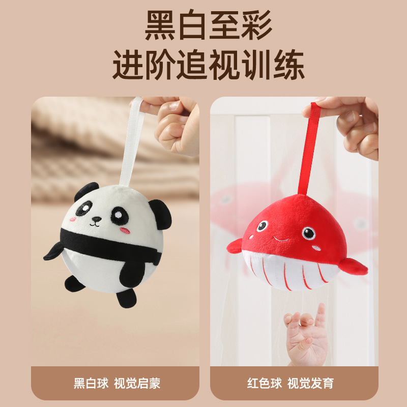 婴儿追视红球黑白球视觉训练