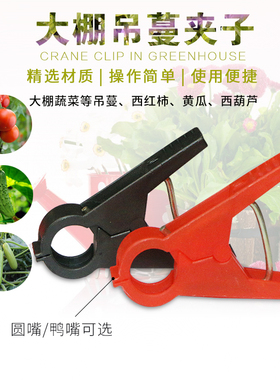 落秧夹绑蔓夹吊秧夹大棚蔬菜番茄西红柿黄瓜塑料绑藤蔓夹子扶蔓夹
