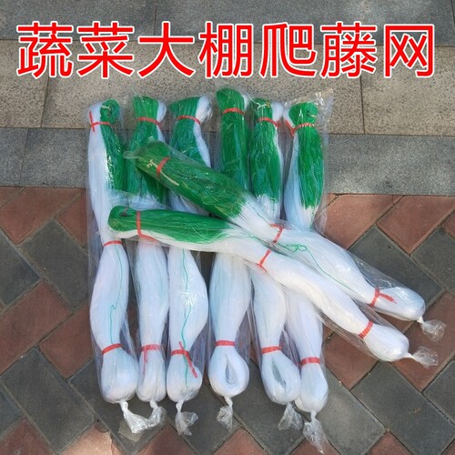 种瓜豆角百香果爬藤网