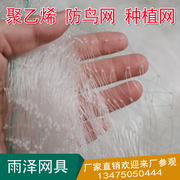 防鸟网果园网葡萄网稻谷鱼塘尼龙网钓鱼线尼龙 综丝养殖网按斤售