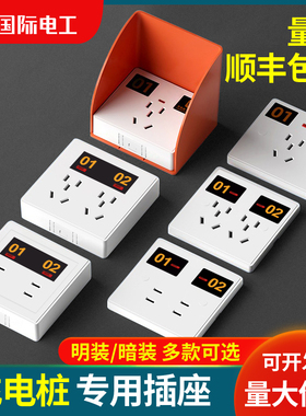 86型电动车充电桩充电站户外专用防水防雨充电插座明暗装五孔十孔