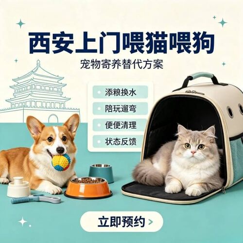 西安上门喂猫 上门遛狗 上门喂宠 宠物上门喂养铲屎猫咪代喂寄养