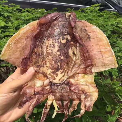 南澳特产自晒淡大墨鱼海鲜500G